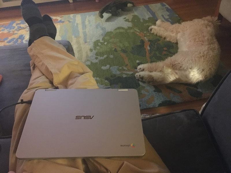 bonus doggo